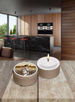 Doftljus Tea Light Daylight®kc – Far, Far Away 12H