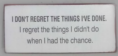 PLÅTSKYLT – I DON'T REGRET THE THINGS I'VE DONE
