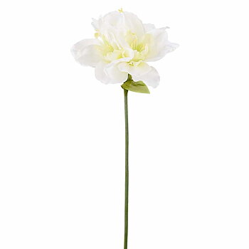 Amaryllis vit med tre blommor konstgjord H:62cm