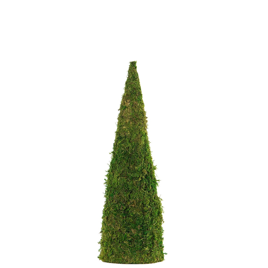 Kon av mossa som bas för dekorationer 50cm - 4
