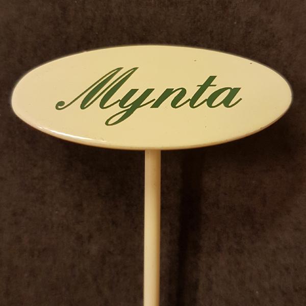 Märkpinne kryddväxt emaljerad gräddvit på spjut – MYNTA 20cm - 2