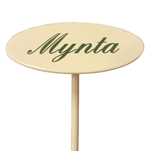 Märkpinne kryddväxt emaljerad gräddvit på spjut – MYNTA 20cm