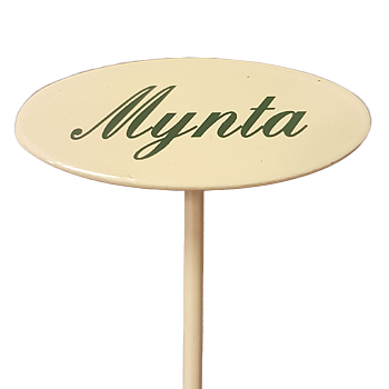 Märkpinne kryddväxt emaljerad gräddvit på spjut – MYNTA 20cm