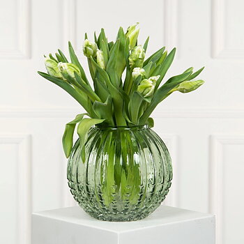 Glasvas ALLIUM grön H:18cm