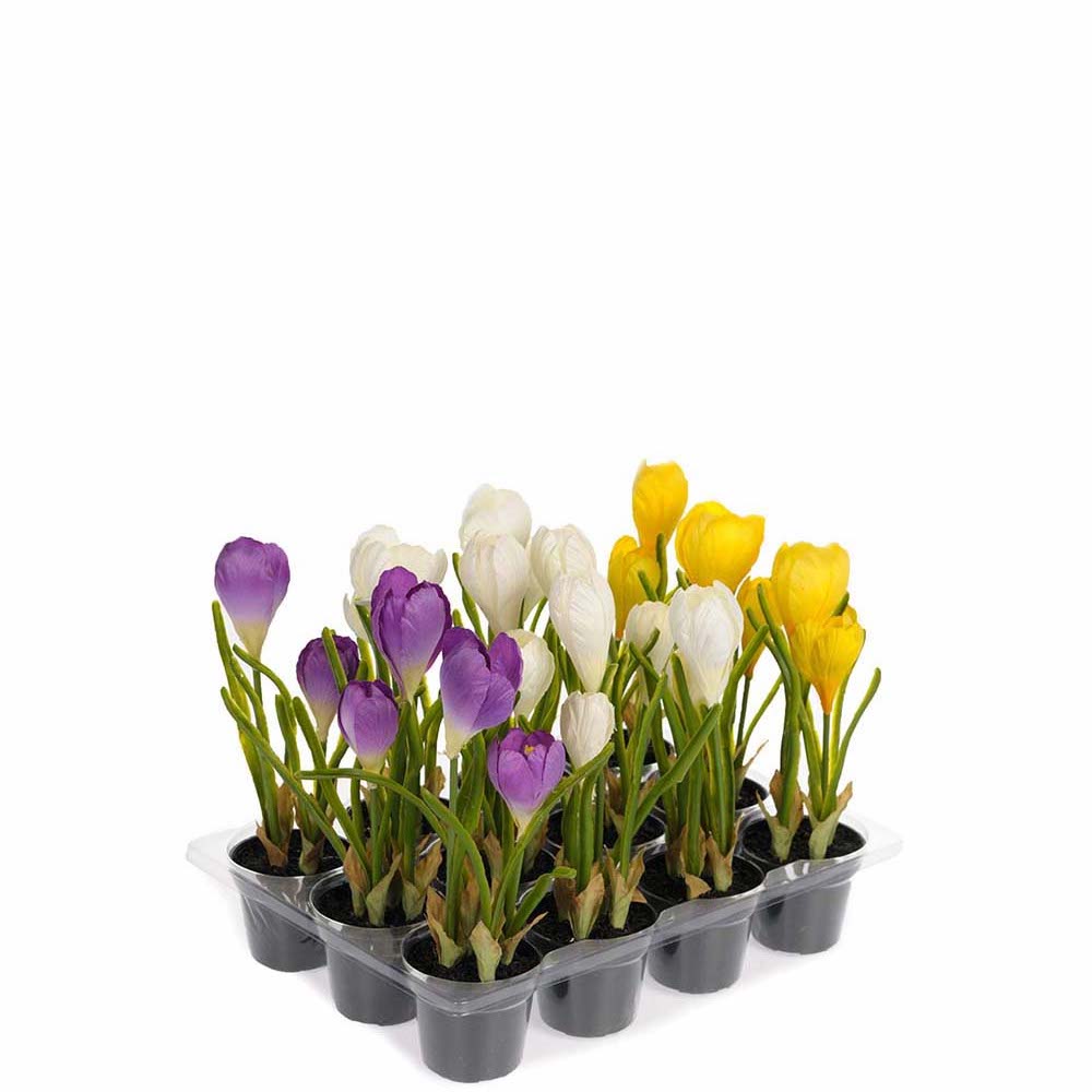 Krokus i kruka konstgjord – mixade färger 20cm pris/st