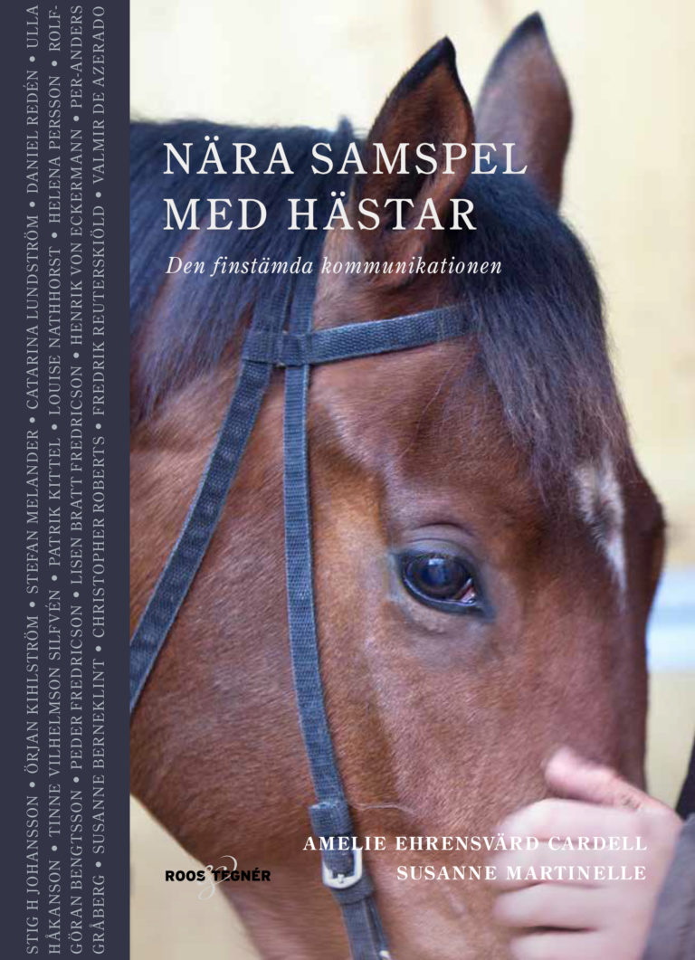 Nära samspel med hästar – Den finstämda kommunikationen
