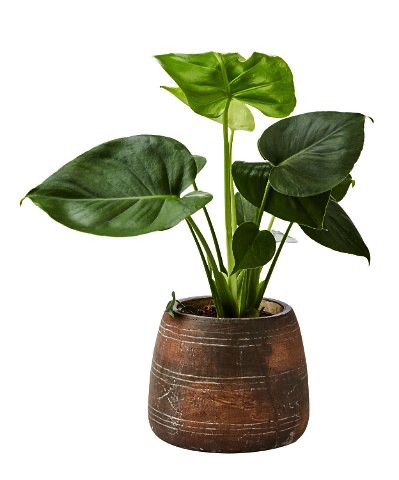 Kruka Camille M i terrakotta – höjd 14cm - 2