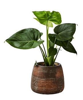 Kruka Camille M i terrakotta – höjd 14cm