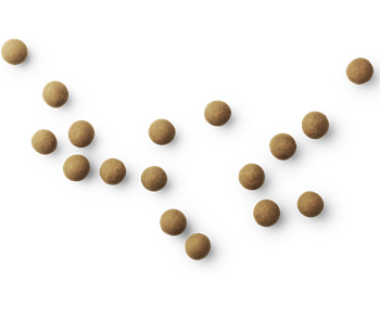 BÜLOW – A Lakrits THE ORIGINAL – Mjölkchoklad • Lakritspulver • Söt lakrits 115g - 4