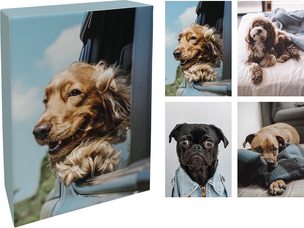 DUBBLA KORT MED KUVERT PAPERLY 20ST I BOX – Dog's Tail