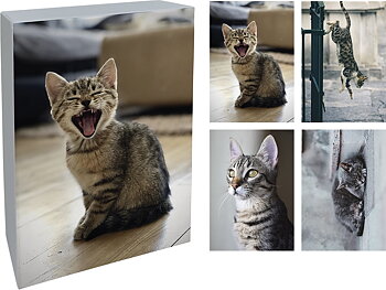 DUBBLA KORT MED KUVERT PAPERLY 20ST I BOX – Cat's Tail