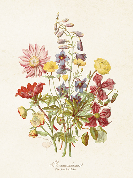 POSTER VINTAGE 18x24 Blomsteräng