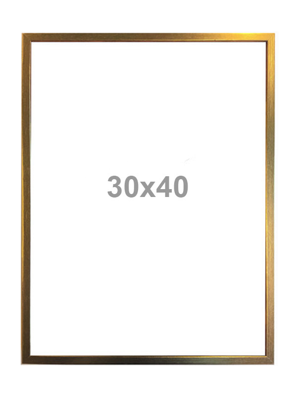RAM Vanilla Fly – Gold Finish 30x40cm