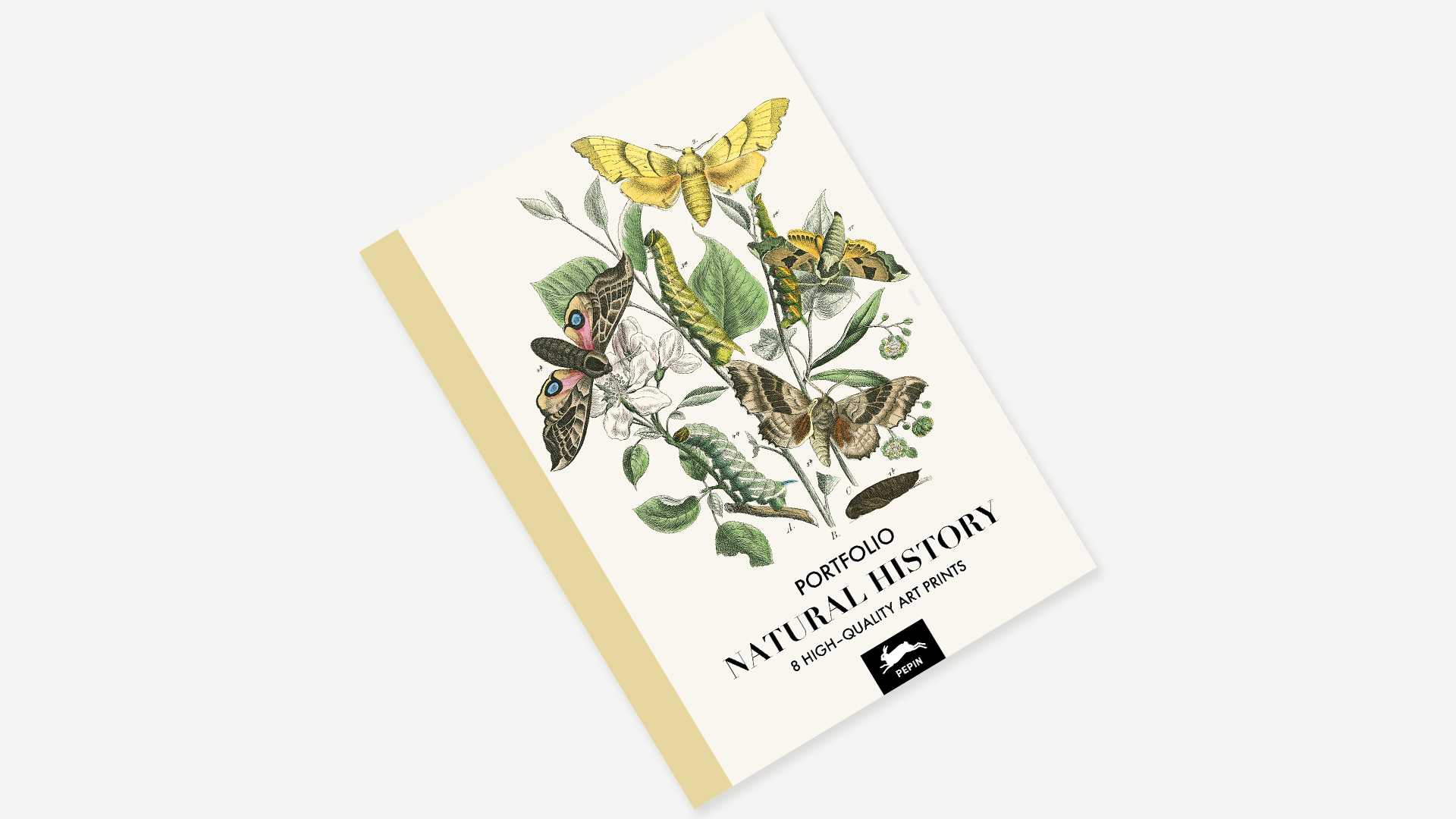 Art Portfolio NATURAL HISTORY – Lyxig mapp med 8 lösa konstblad 30x42cm - 6