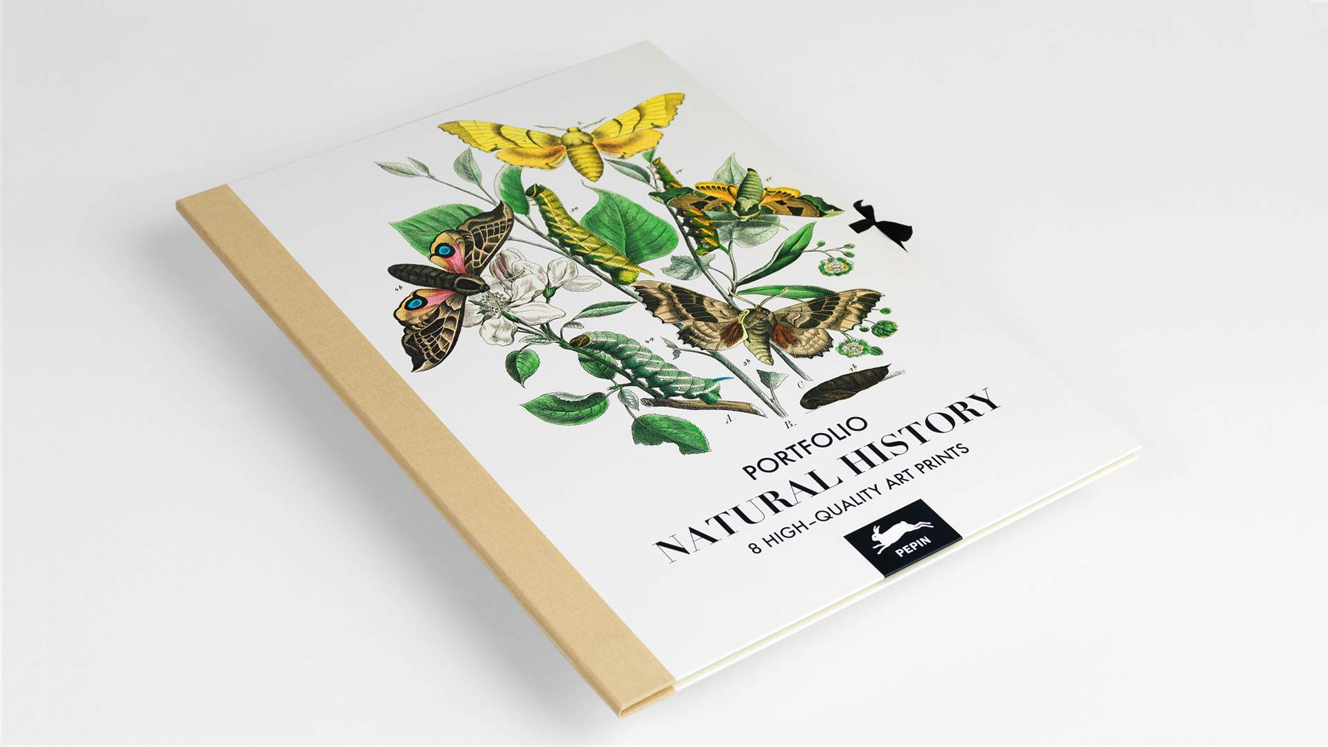Art Portfolio NATURAL HISTORY – Lyxig mapp med 8 lösa konstblad 30x42cm
