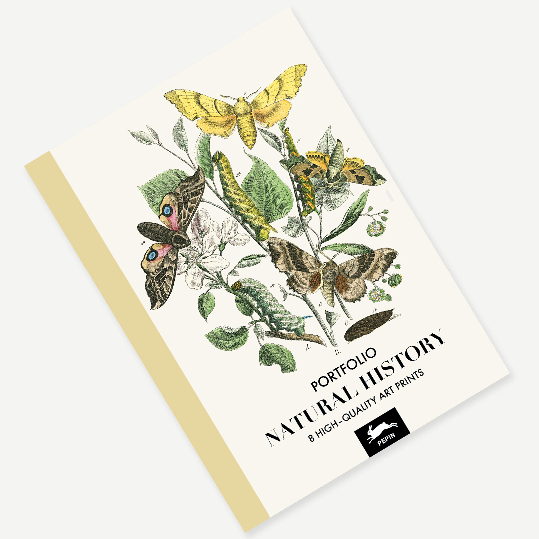 Art Portfolio NATURAL HISTORY – Lyxig mapp med 8 lösa konstblad 30x42cm - 4