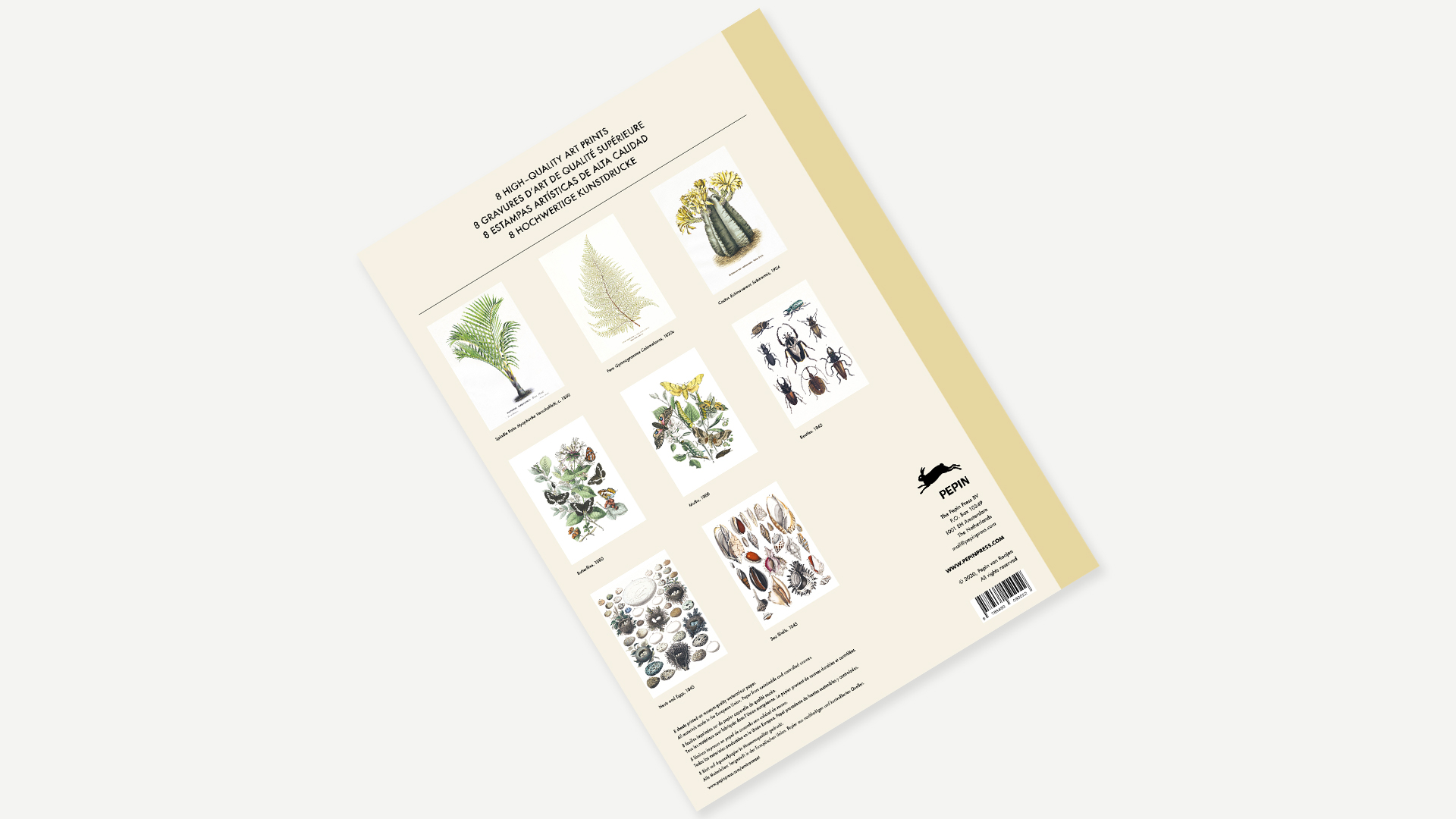 Art Portfolio NATURAL HISTORY – Lyxig mapp med 8 lösa konstblad 30x42cm - 5