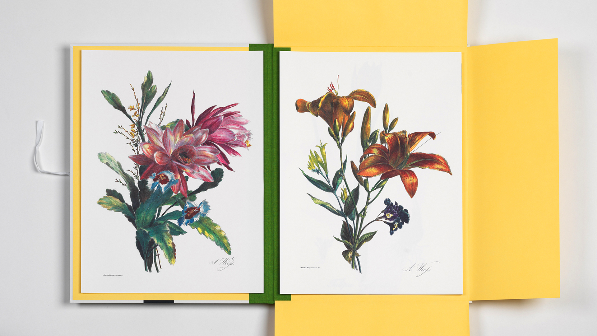 Art Portfolio FLOWER – Lyxig mapp med 8 lösa konstblad 30x42cm - 6