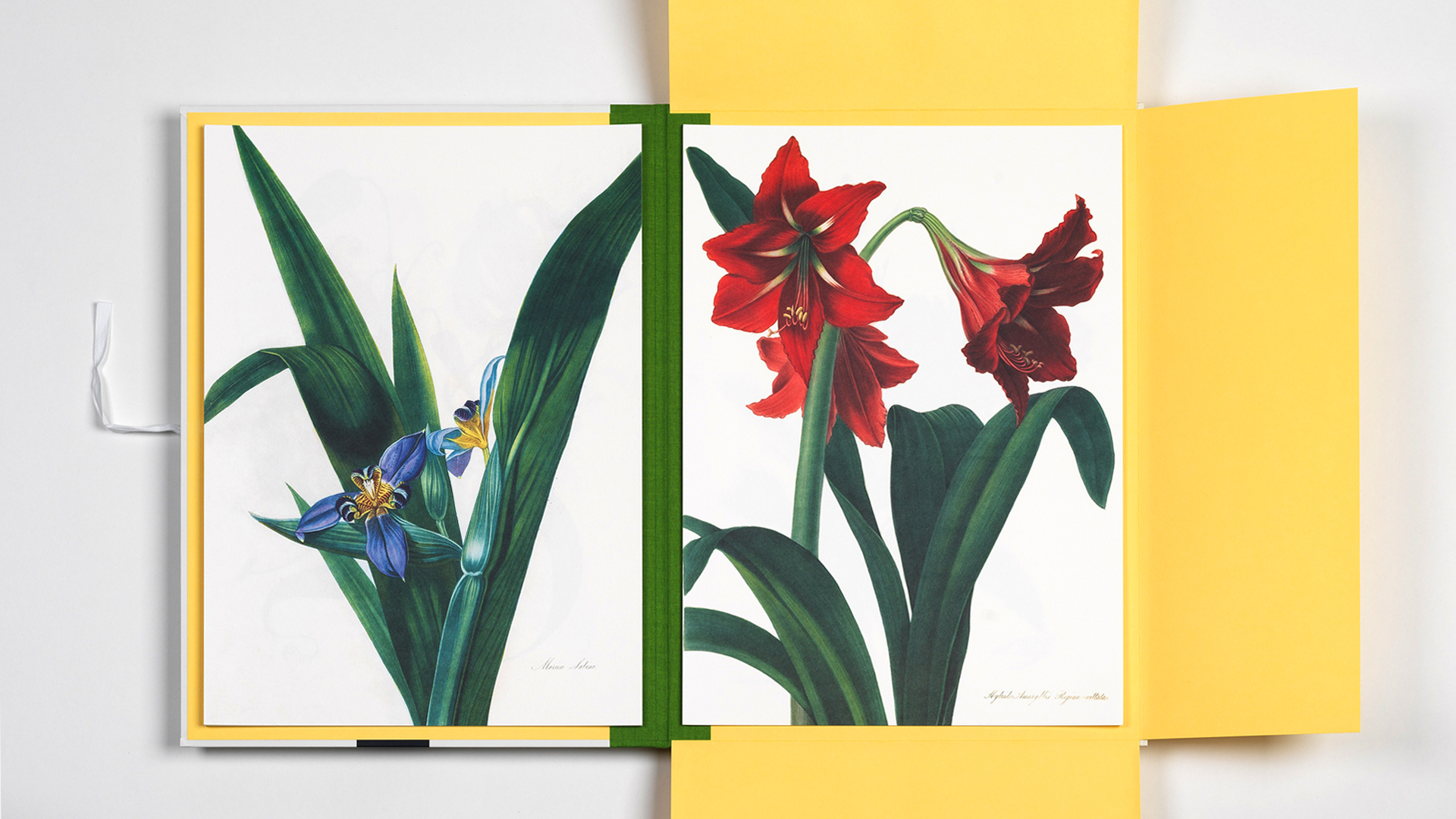 Art Portfolio FLOWER – Lyxig mapp med 8 lösa konstblad 30x42cm - 5