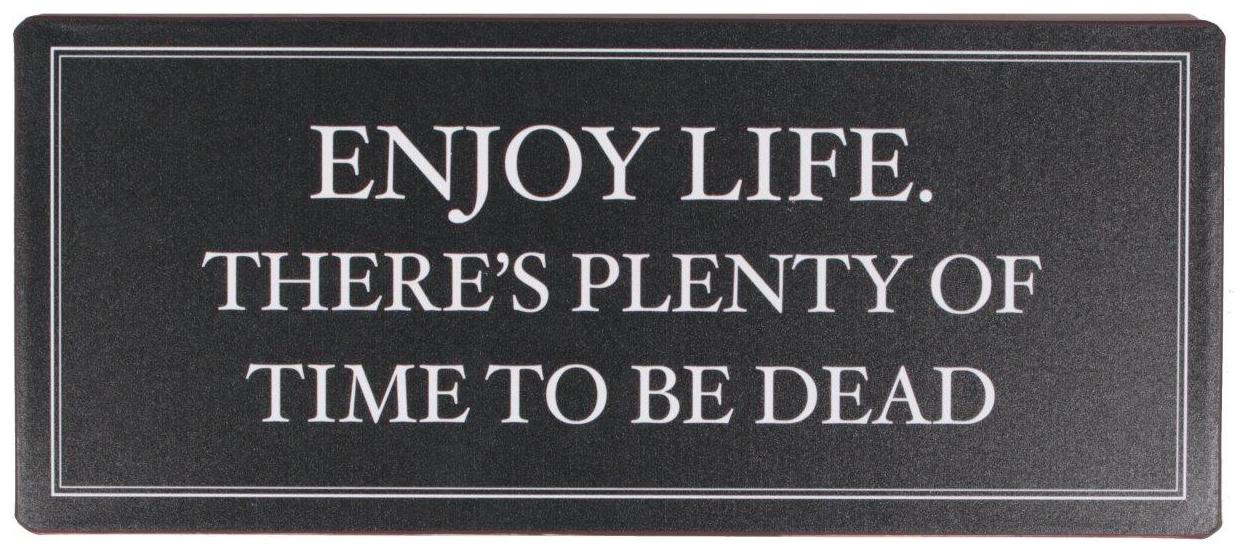 Plåtskylt – Enjoy life. There's plenty of time to be dead - 2