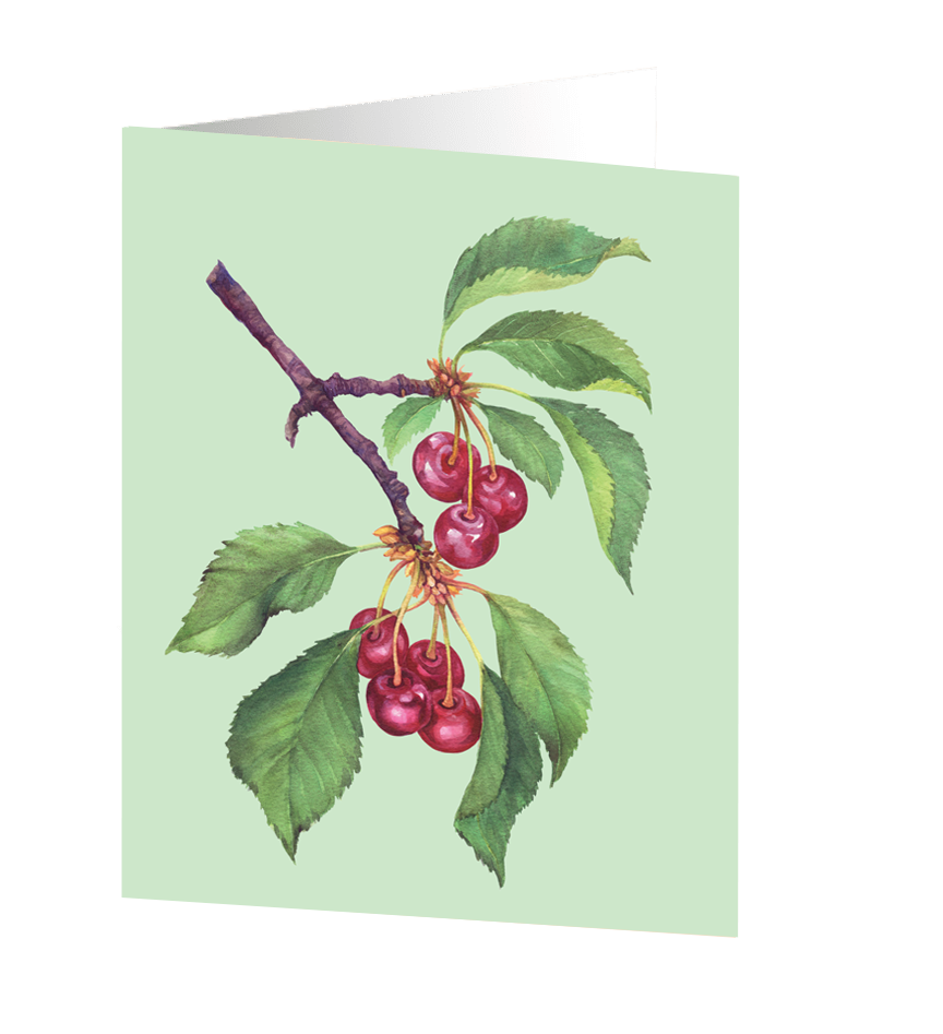 Kort med kuvert – Cherries 9x11cm