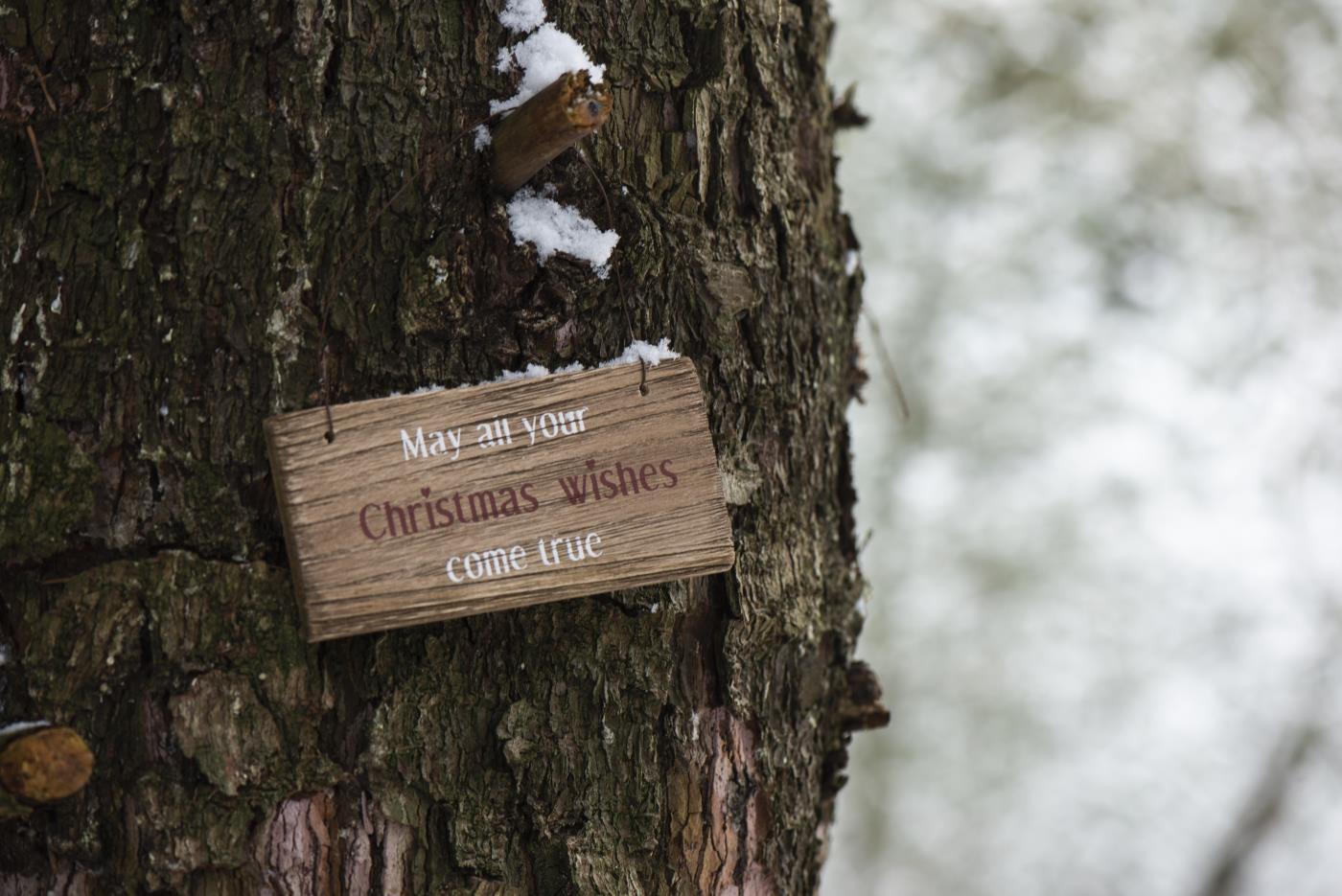 Träskylt – May all your Christmas wishes come true 7x15cm