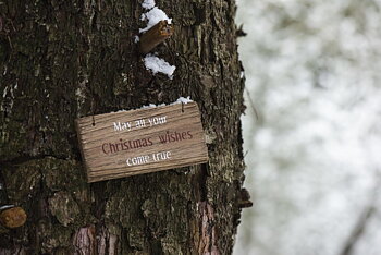 Träskylt – May all your Christmas wishes come true 7x15cm