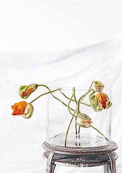 Glasskål / vas / stor ljuslykta 25x30 cm