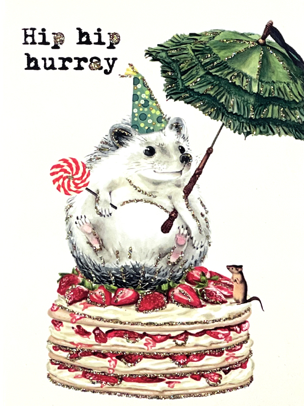 Presentkort med kuvert – Hip Hip Hurray 9x13cm - 2