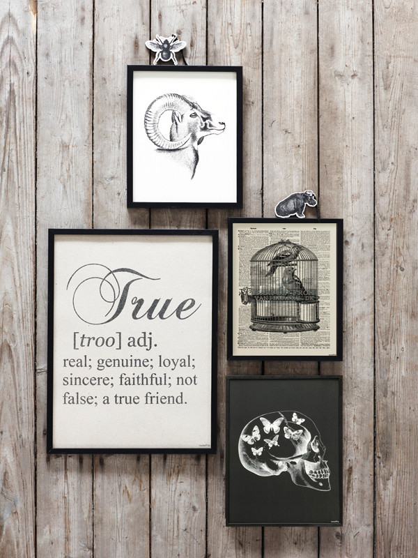 POSTER VANILLA FLY – MOTH 30x40CM - 3