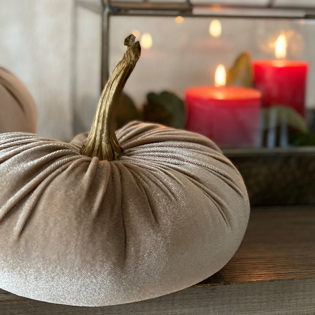 Pumpa Dekoration – Stor champagne Ø≈26-29cm - 2