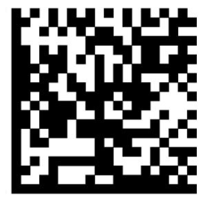 Data matrix