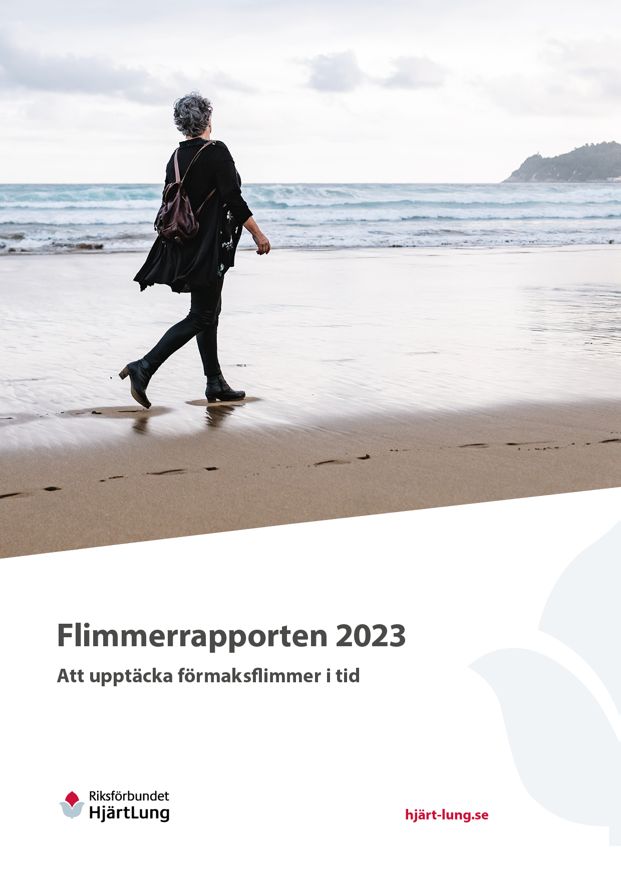 Flimmerrapporten 2023