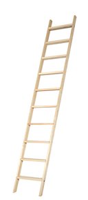 Enkelstegar