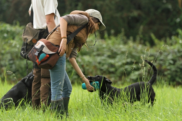 Firedog Dummies, västar m.m 