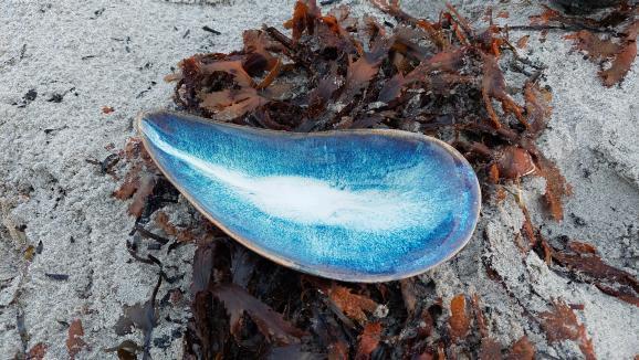 Blåmusslan Skål 15,5 cm