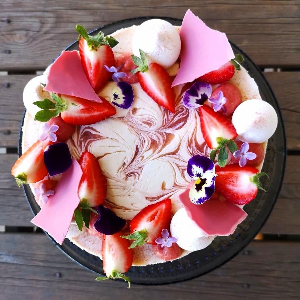 Rabarbercheesecake på vit chokladbotten