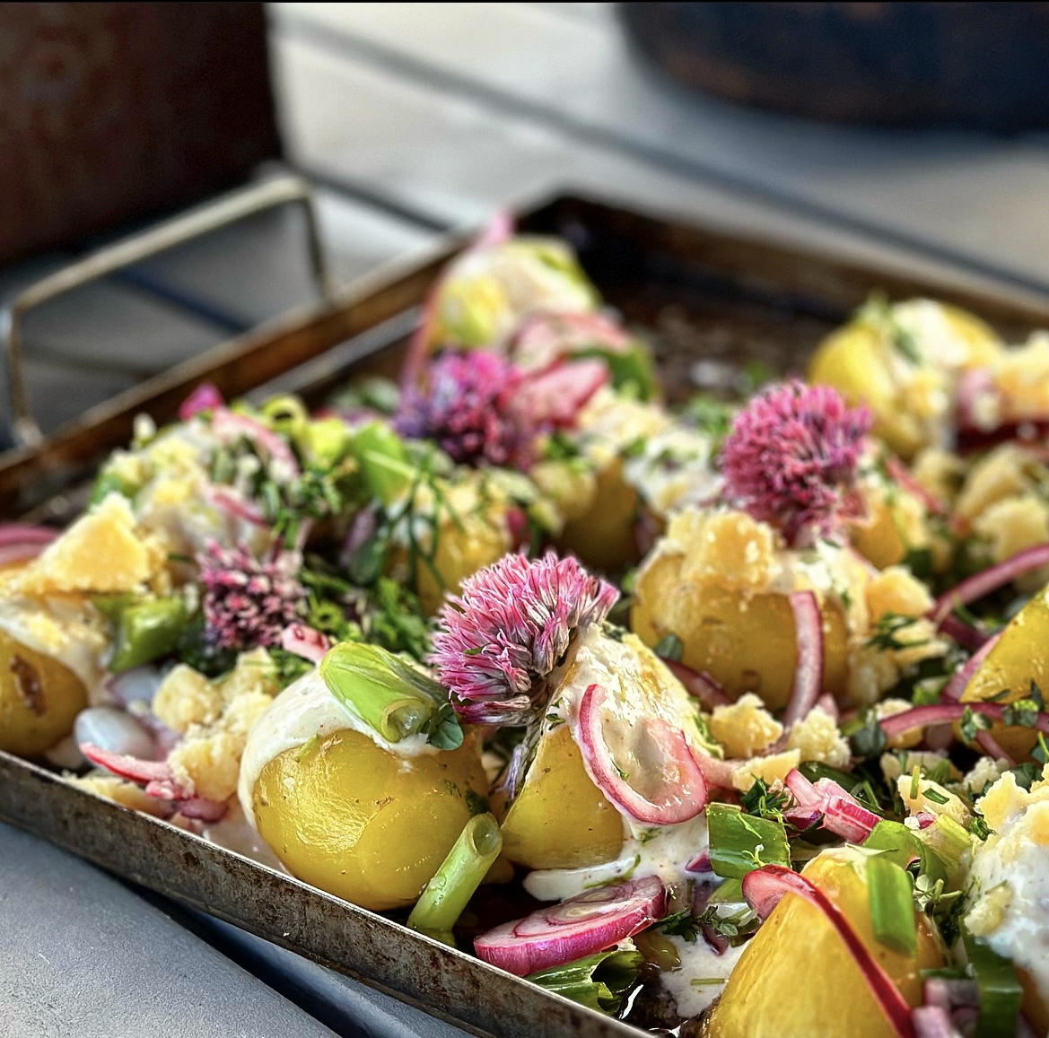 Midsommarpotatis med västerbottenostkräm & syrad lök