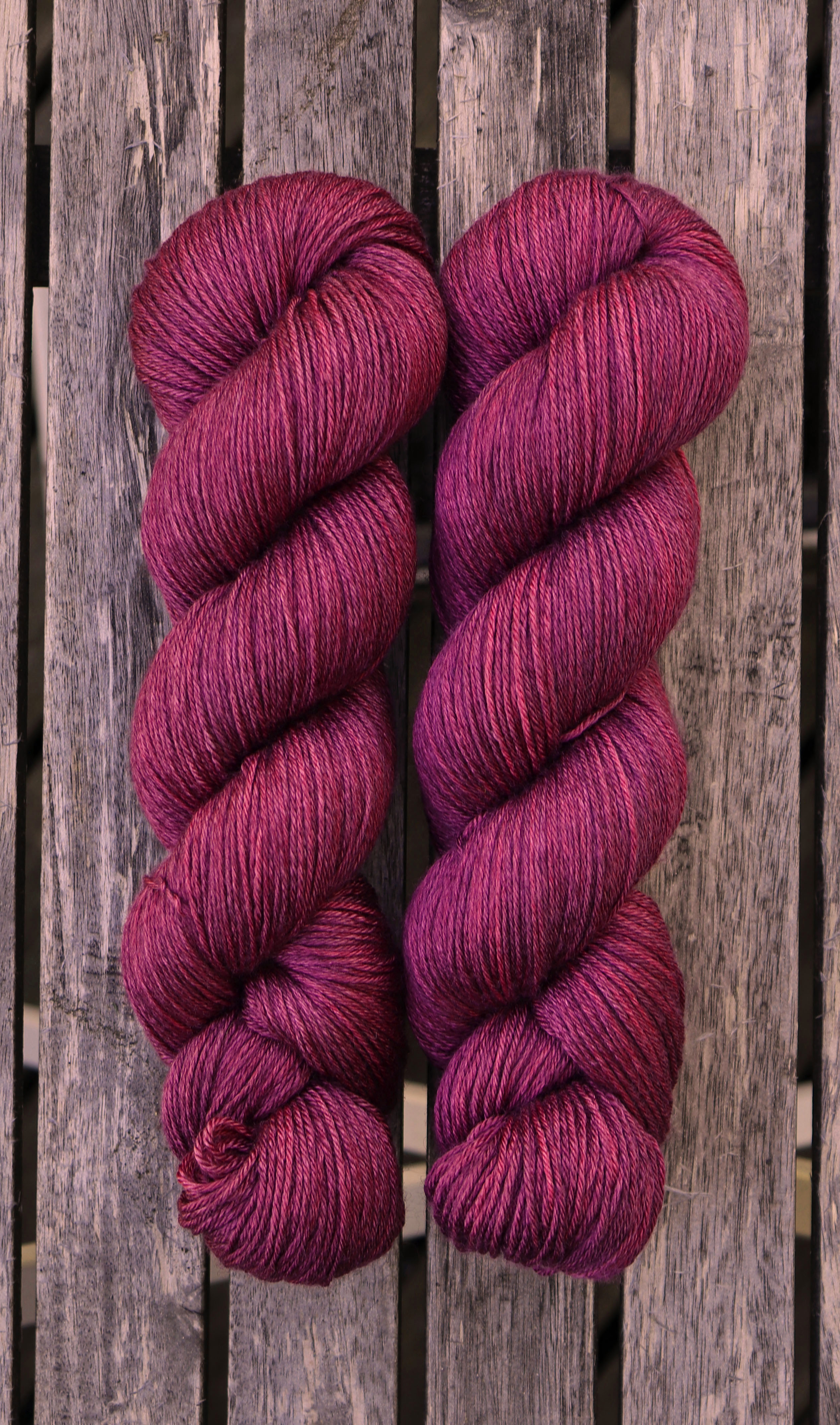 Aronia