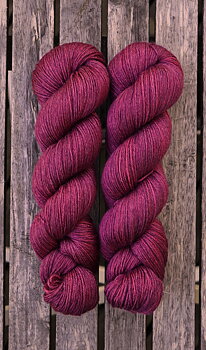 Aronia