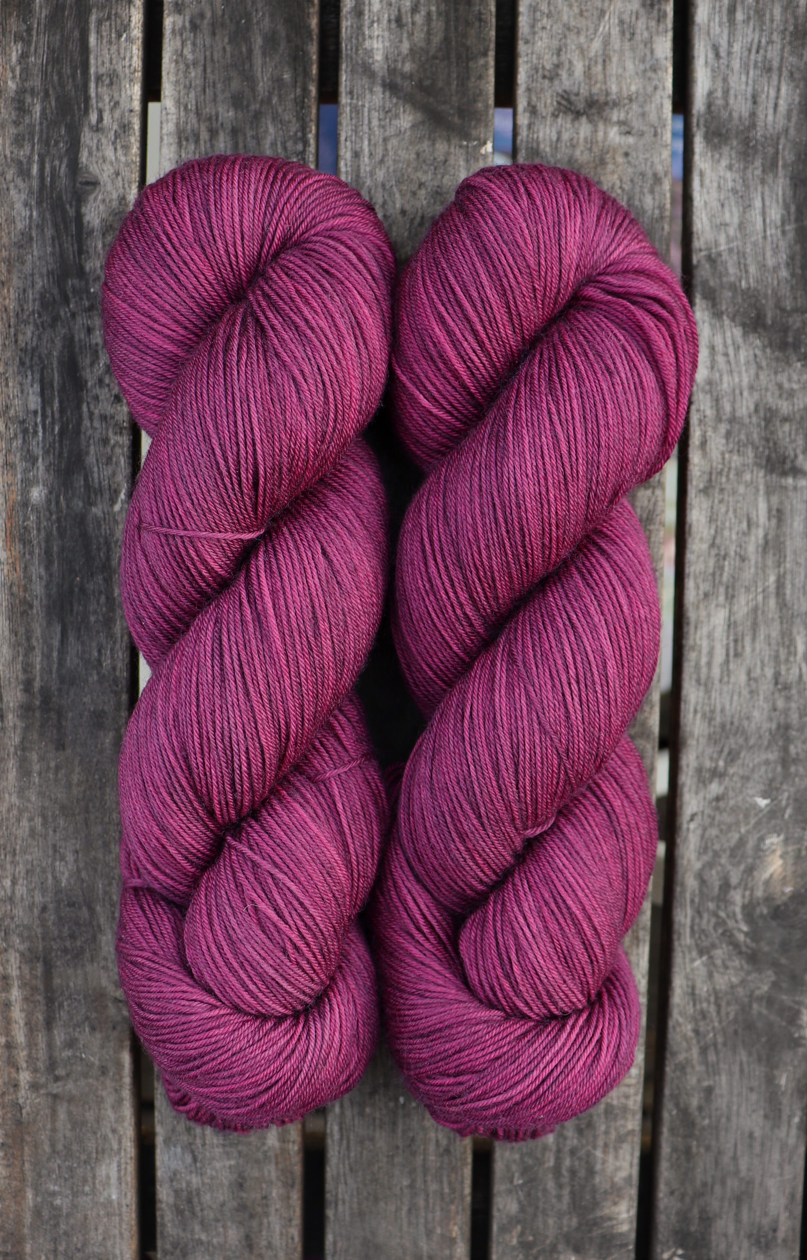 Aronia