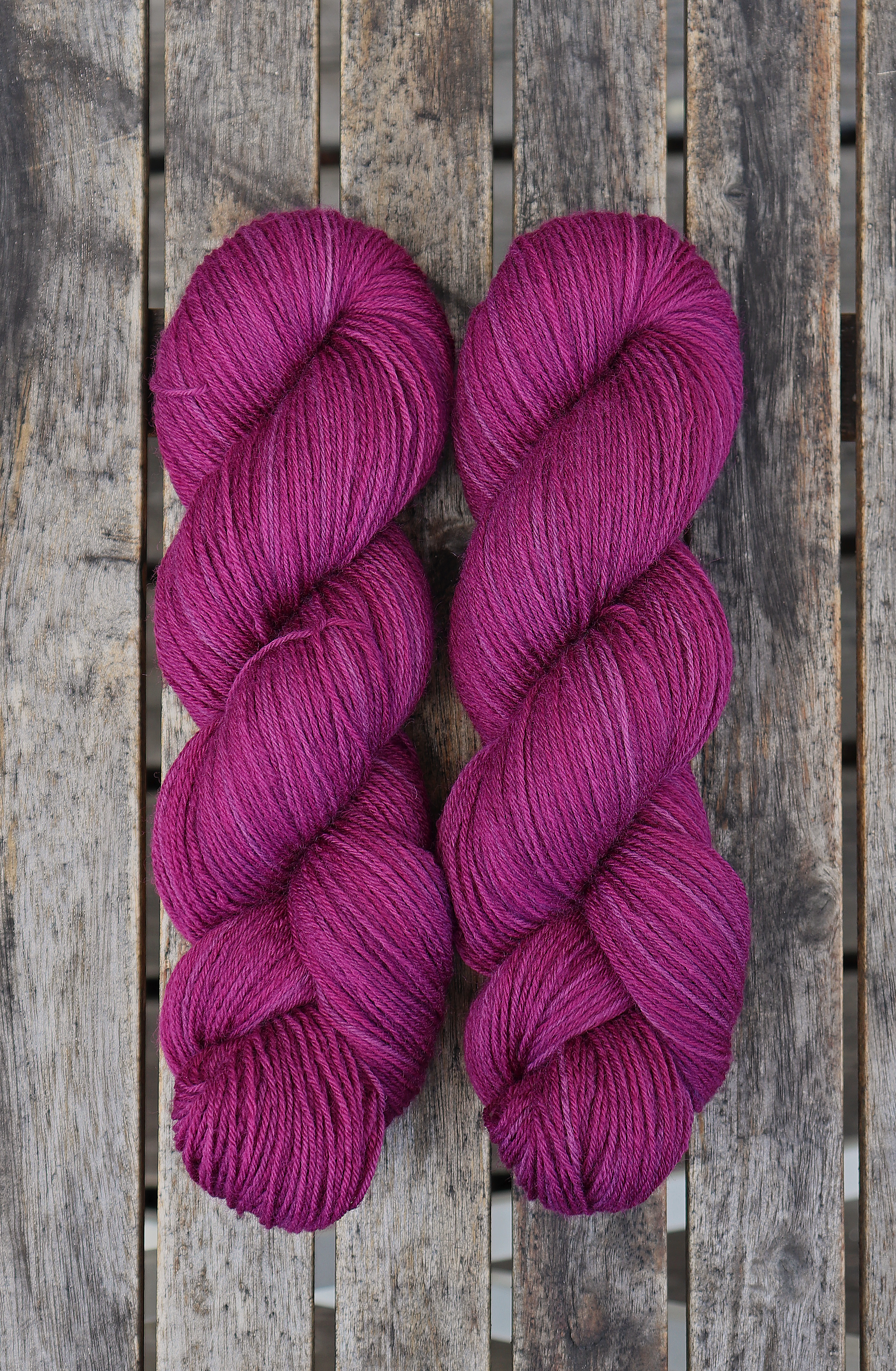 Aronia