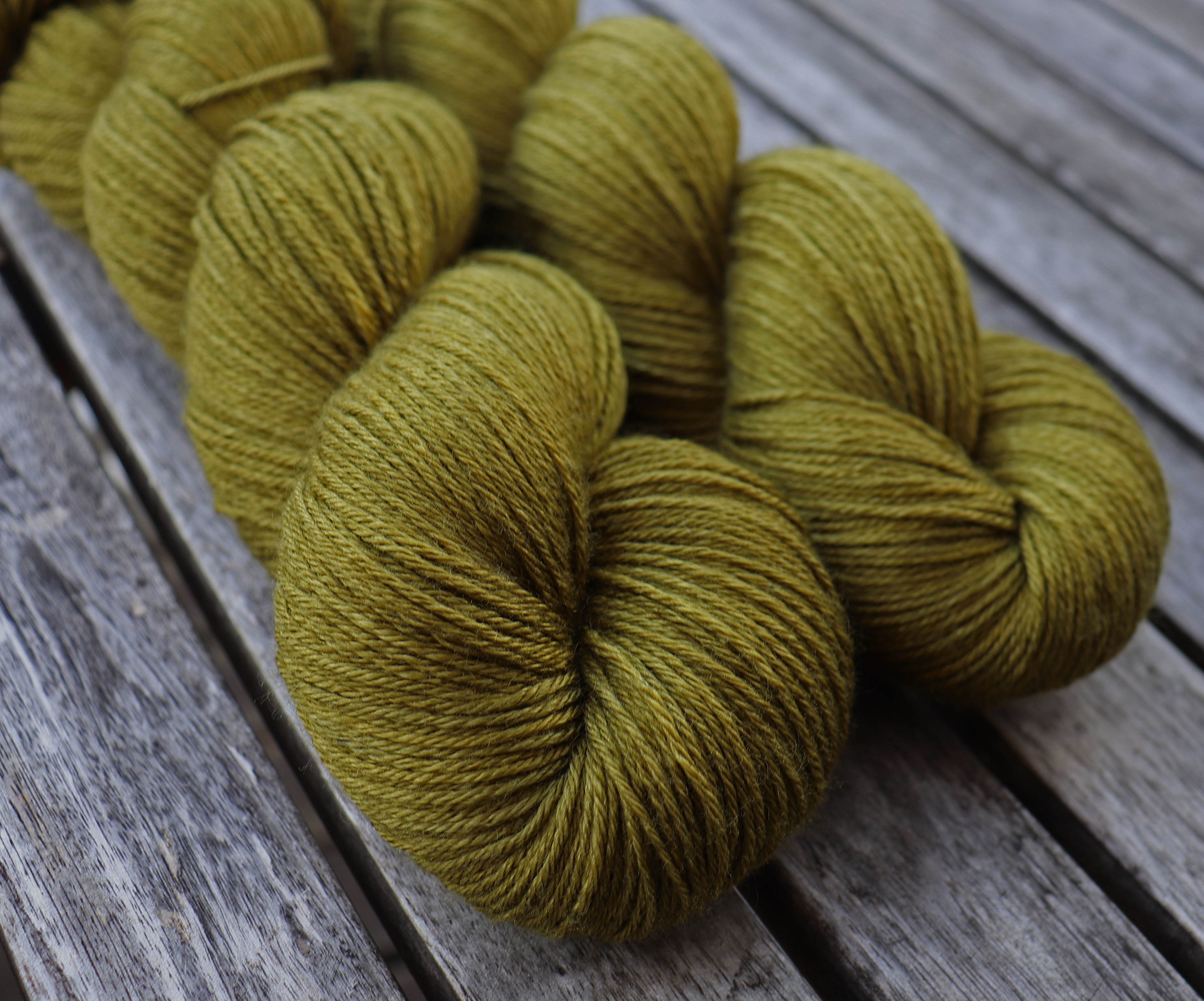 Moss - 2