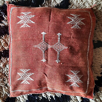 Coussin en tissu Cactus