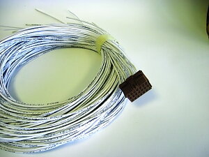 Wire harness CCS Control System