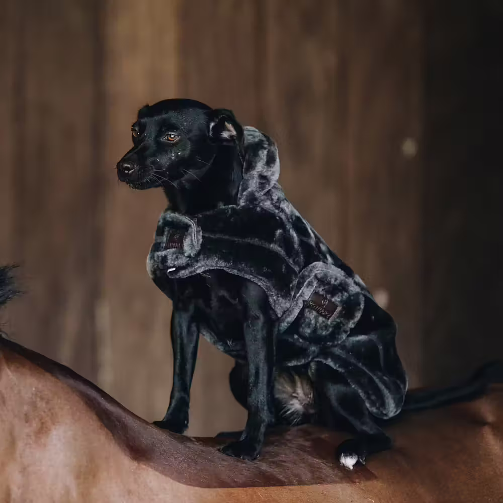 KENTUCKY  DOGWARE Fynda här 