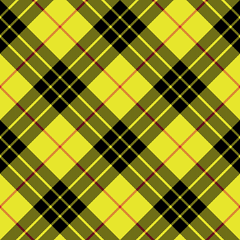Designhalsband: Rob Roy