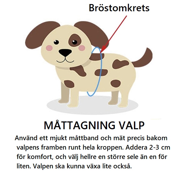 Valpsele med koppel - 5