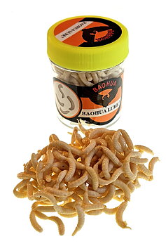 Baohua konstbete - Maggot