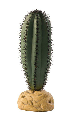 Stavkaktus Exoterra